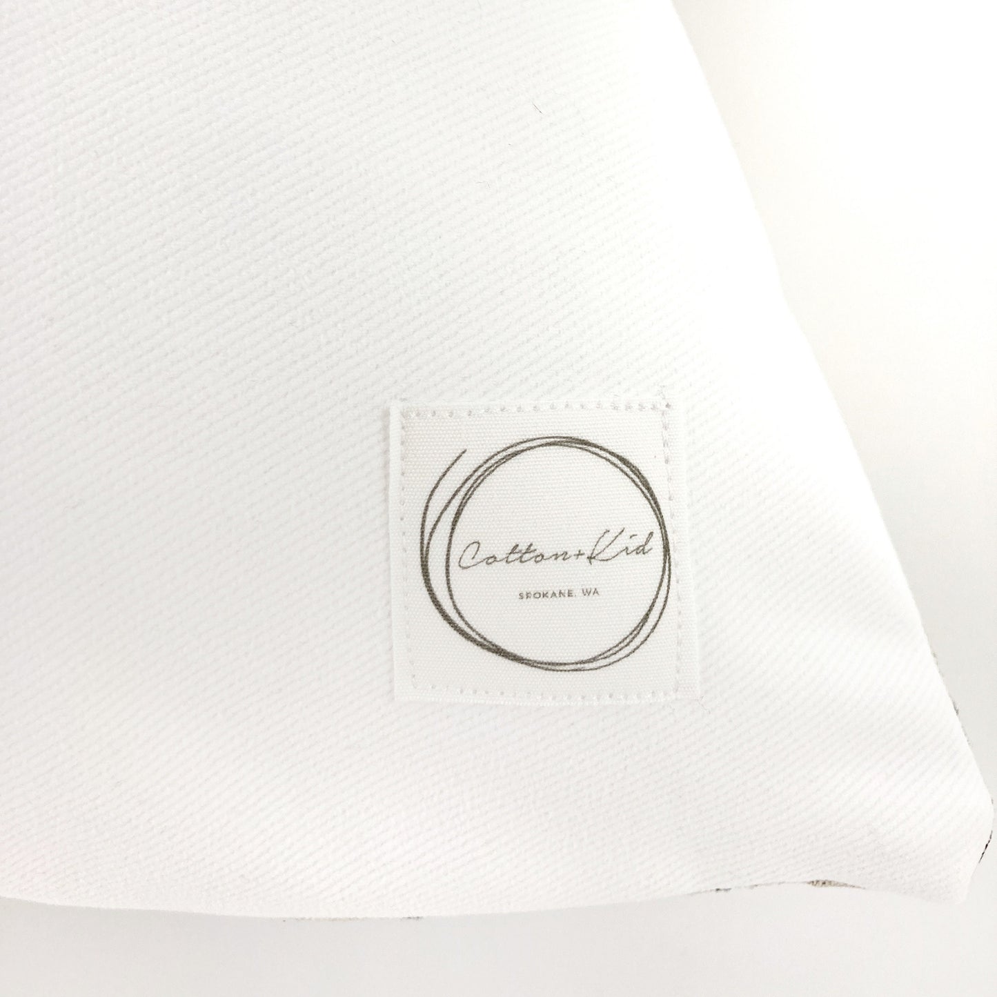 Sage green velvet pillow cover