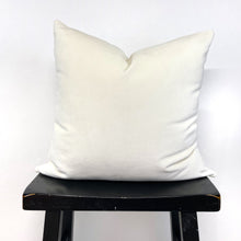 Load image into Gallery viewer, White velvet pillow cover
